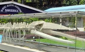 Day 3 — Half Day Museum Tour 